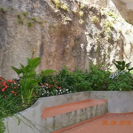 Coral Ericeira